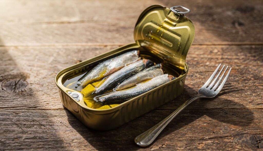 Alles wat je moet weten over sardines in blik